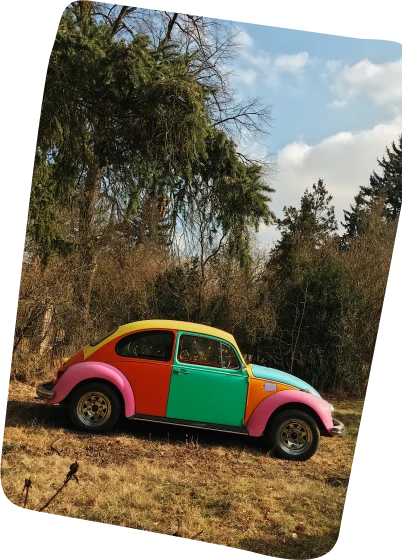 Skutečné barevné auto Brouk